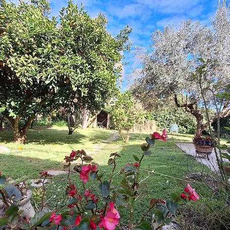 Guest house La Civetta, A 15 Minuti Dal Mare Di Otranto *